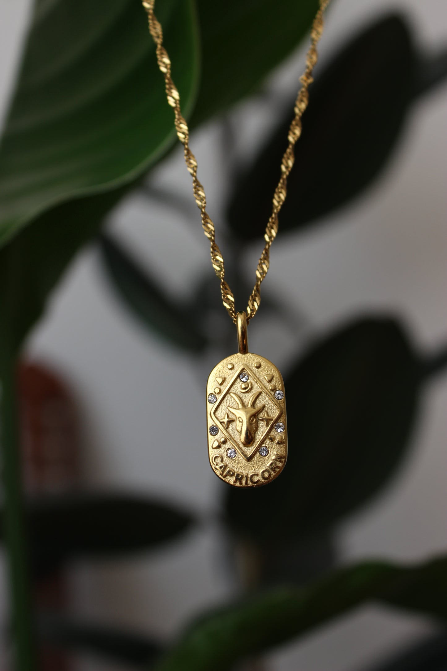 Zodiac Necklace – Capricorn (Steinbock)