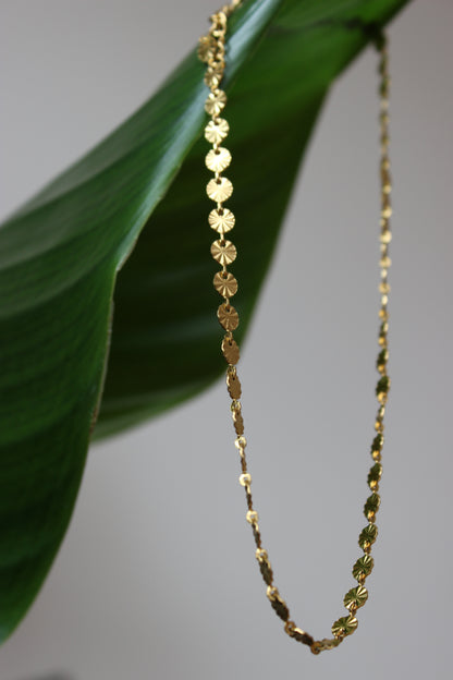 Zorana – Gold Disc Choker Necklace in Gold